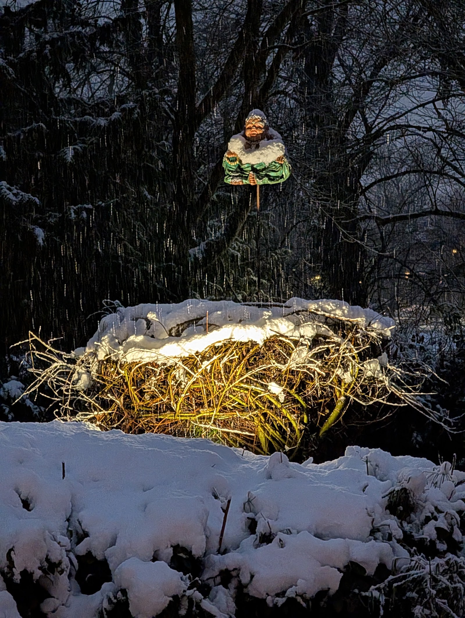 Het broednest in de sneeuw