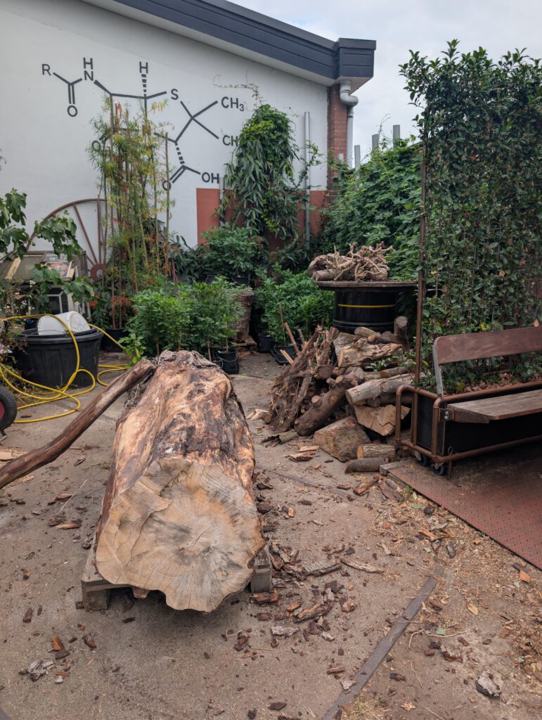 De groene patio van De Kiemkamer in Utrecht