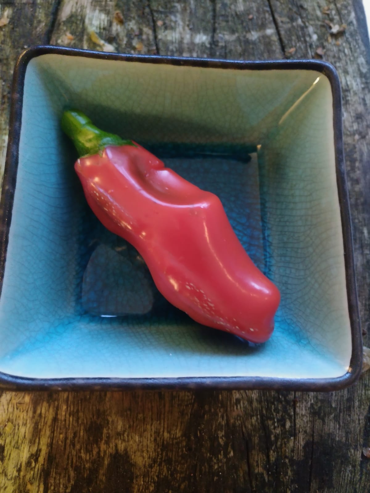 Peper gegroeid in een bijzondere vorm