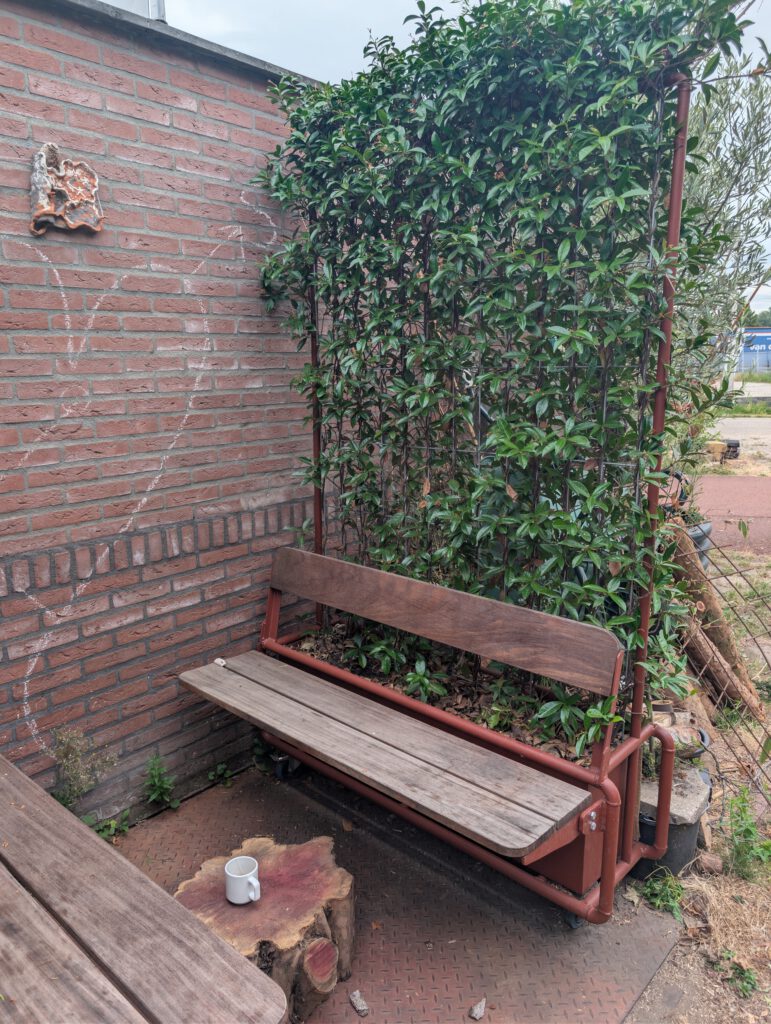 De schaduwbank, verrijdbare bank met Toscaanse jasmijn